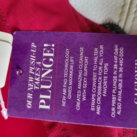 Cacique Intimates & Sleepwear Bra Cacique Poshmark